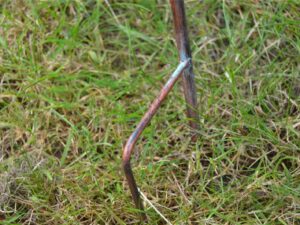 Garden Wind Spinner Plant Insert ? Sunflower ? 120cm - Image 4