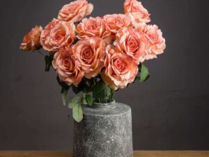 Autumn Peach Silk Garden Rose