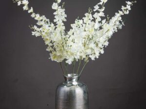 White Delphinium