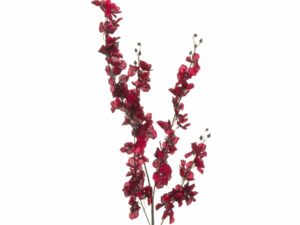 Red Delphinium