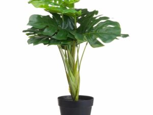 Faux Monstera Plant