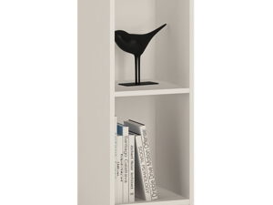 Low Narrow Bookcase