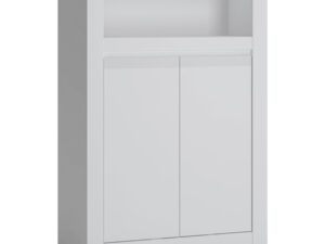 2 Door Cabinet