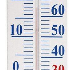 Fallen Fruits TH9 Large Wall Thermometer - Image 1
