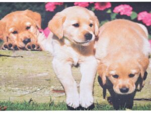 Fallen Fruits Printed Garden Doormat in a Puppy Design