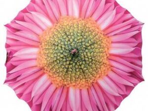 Pink Flower Umbrella - Image 1