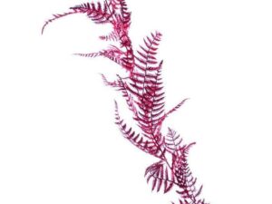 Festive Battery Operated 20 Naked Wire LED Lights with White Snowflakes, White - Image 1