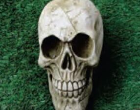 STONE GARDEN ORNAMENT SKULL WITH PACK OF CARDS GOTHIC DESIGN - CLICK & COLLECT ONLY - Image 1