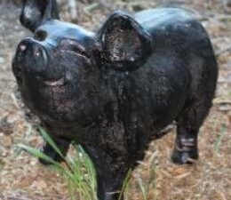 Garden Pig Large Bronze Statue - Image 1