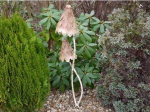 GARDEN METAL MUSHROOM TWISTED - Image 1