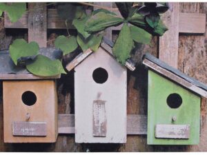 Bird Houses Printed Doormat - Image 1