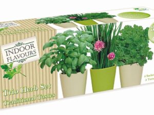 Pastel Trio Herb Set - Traditional - Image 1