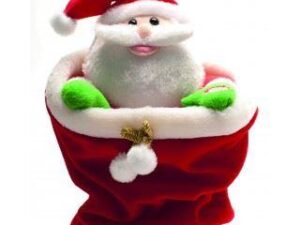 Santa In Bag Animated