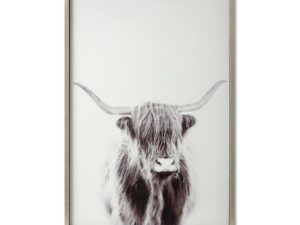 Highland Cow Right Facing Glass Image with Silver Frame