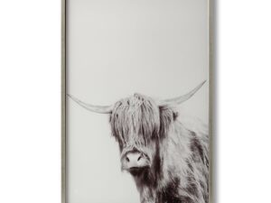 Highland Cow Left Facing Glass Image with Silver Frame