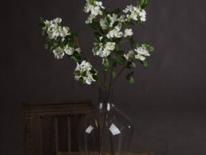 White Spring Mock Orange Flower - Image 1