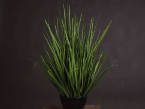 Large Field Grass pot