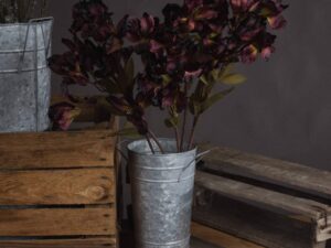 Chocolate Alstroemeria Lily Spray - Image 1