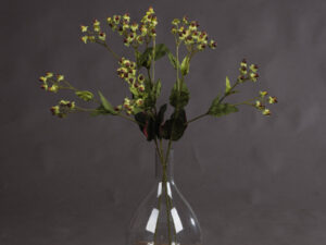 Brown Hypericum Berry Spray