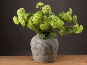 Green Viburnum Spray - Image 1