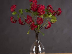 Red Autumnal Viburnum
