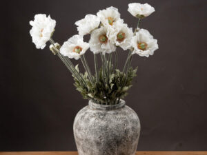 Heirloom Pepperbox Poppy