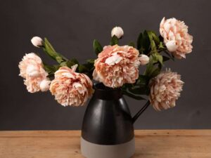 Peach Peony Rose - Image 1