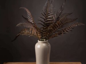 Single Brown Fern Leaf