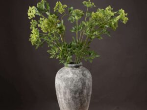 Faux Cow Parsley Ammi - Image 1