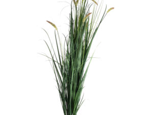 Large Potted Meadow Grass