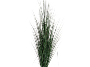 Large Potted Tall Grass