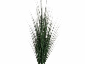 Potted Tall Grass Bush