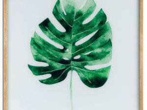 Cheese Plant Glass Image In Gold Frame