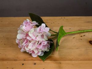 Pale Pink Classic Hydrangea - Image 1