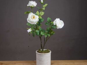 Classic White Garden Rose Spray - Image 1