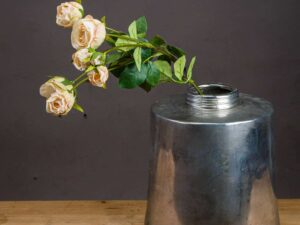 Medium Peach Spray Rose