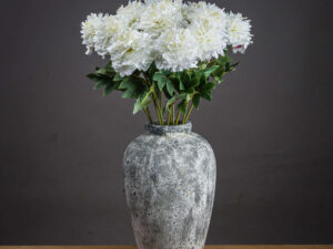 Single White Hydrangea