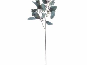 Seeded Eucalyptus Stem