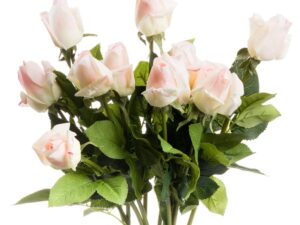 Cream Closed Rose Bud