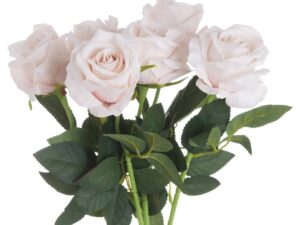 Pink Cream Tea Rose - Image 1