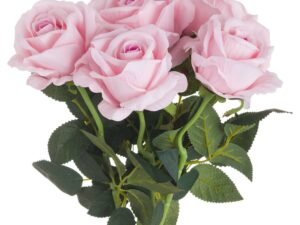 Pastel Pink Tea Rose