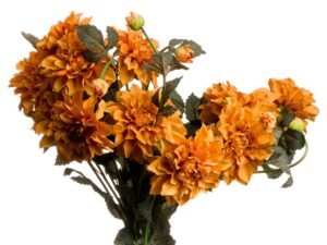 Orange Dahlia Spray