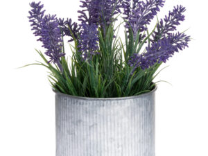 Lavender In Mini Dolly Tin