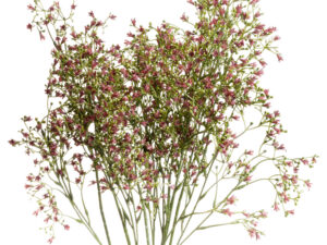 Purple Wildflower Small Spray