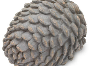 Decorative Grey Pinecone - Image 1