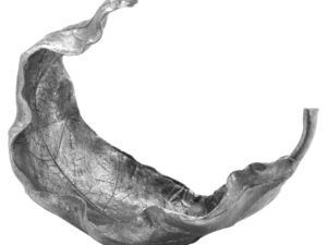 Large Silver Curled  Leaf Sculpture