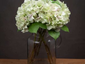 Shabby Green Single Hydrangea