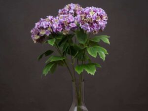 Vibrant Purple Viburnum Style Spray