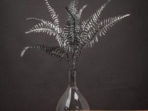 Silver Fern Spray