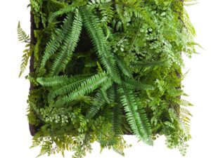 Fern And Greenery Wall Panel - Image 1
